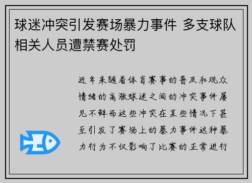 球迷冲突引发赛场暴力事件 多支球队相关人员遭禁赛处罚